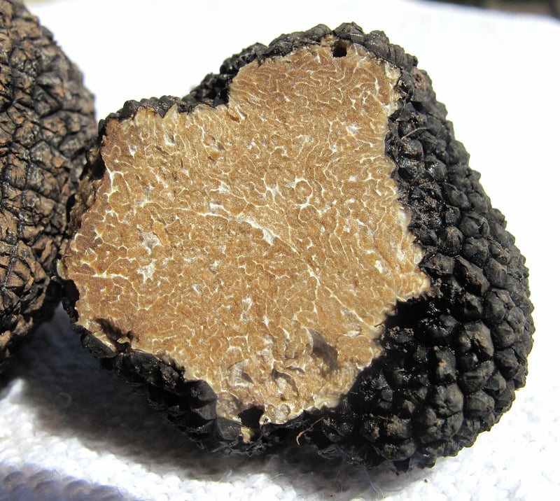 Truffle Infused Delicacies